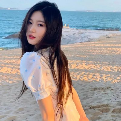大偷记