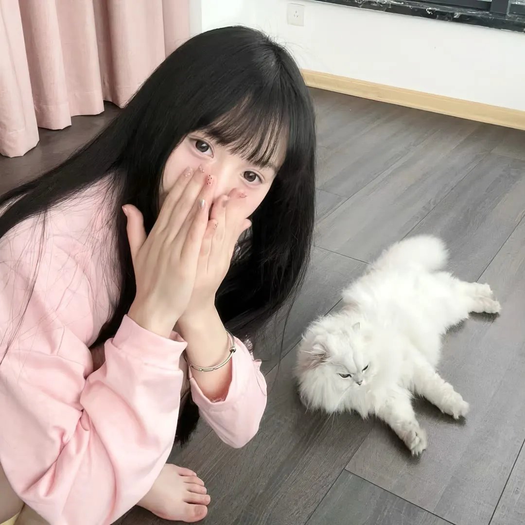 复仇从征服凌少开始